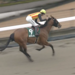 【根岸S】横山武史騎手うますぎワロタwww