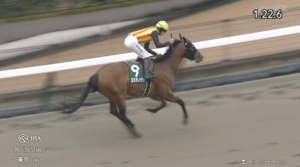 【根岸S】横山武史騎手うますぎワロタwww