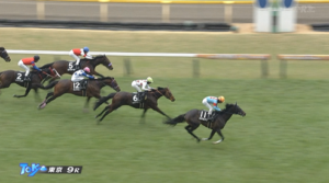 【セントポーリア賞】エネルジコ強すぎ