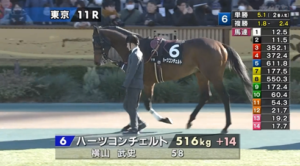 【早春S】マイネルカンパーナ＆津村騎手がｷﾀ━━━━(ﾟ∀ﾟ)━━━━!!