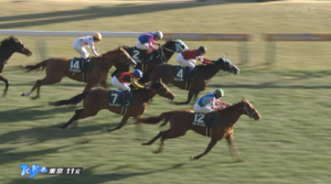 【東京新聞杯】ウォーターリヒト強すぎワロタ