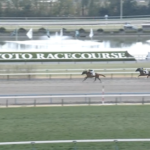 【月曜京都3R】エンダードラゴン&武豊騎手がキタ━━━━(゚∀゚)━━━━!!