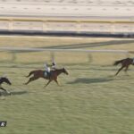 【クイーンC】新馬戦だけ勝ってる人気馬をどうするかってのが難しいんよな 他