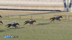 【クイーンC】新馬戦だけ勝ってる人気馬をどうするかってのが難しいんよな　他