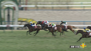 【京都記念】バビットめっちゃ頑張ったよな？　他