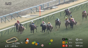 【京都記念】チェルヴィニアさん…