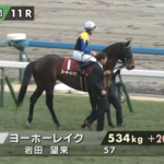 【京都記念】ヨーホーレイクさん プラス20キロw