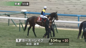 【京都記念】ヨーホーレイクさん プラス20キロw