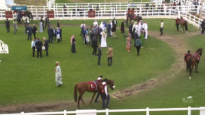 【アミールトロフィー】レベルスロマンス出走