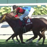 ジャックドールが引退 種牡馬に