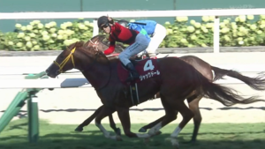 ジャックドールが引退　種牡馬に