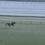 【ダイヤモンドS】ヘデントール強すぎワロタwww