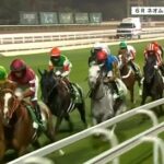 【ネオムターフカップ】シンエンペラー &坂井騎手がキタ━━━━(゚∀゚)━━━━!!
