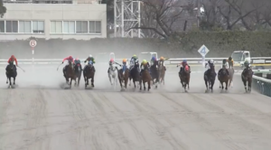 アーテルアストレアさん、兵庫女王盃へ！