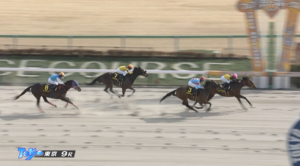 【ヒヤシンスS】ルクソールカフェ＆Rキング騎手がｷﾀ━━━━(ﾟ∀ﾟ)━━━━!!