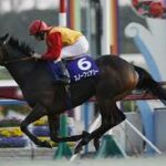 今まで見た中で一番綺麗な馬名