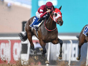 フォーエバーヤング公式レーティング128!!世界1位現役最強馬に!
