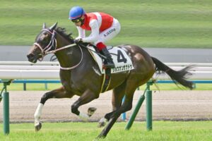 ショウナンザナドゥ、間に合う