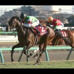 12月27日ホープフルステークス12月28日有馬記念