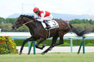 阪神大賞典4着のショウナンラプンタは引き続き武豊騎手とのコンビで天皇賞・春へ