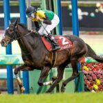 タイトルホルダーって有馬の前に炎上してたけど、あれオルフェの真似しようとしたんじゃない?