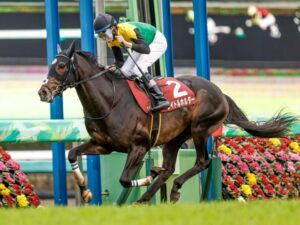 タイトルホルダーって有馬の前に炎上してたけど、あれオルフェの真似しようとしたんじゃない？