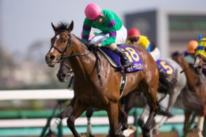 皐月賞で株を上げた馬といったら？