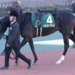 【競馬予想】[1]第72回毎日杯(GⅢ)/2025