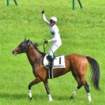 引退レースがベストパフォーマンスだった馬
