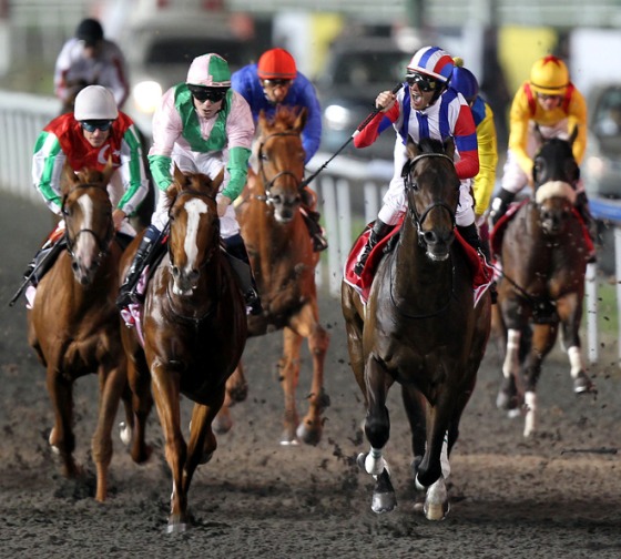 30億円近く稼いだサウジ遠征!日本馬はドバイでいくら稼ぐのか
