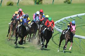 競馬やってて最悪の瞬間