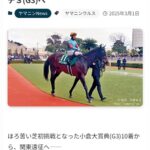 ヤマニンウルス怒りのマーチS出走