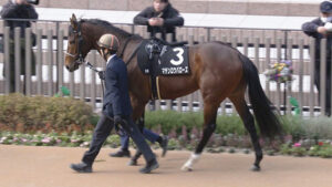 マテンロウバローズ横山典「上手に走っていた。頑張っていました」