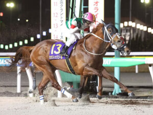 【ダイオライト記念/船橋】セラフィックコールが叩き合い制し連覇達成！重賞3勝目