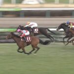 【競馬】ダンビュライトが皐月賞を勝てる可能性が出てきた件