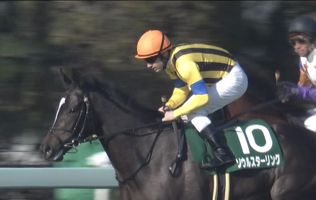 【競馬】【悲報】ソウルスターリングの母スタセリタに3年連続ディープ種付けしてる件