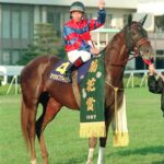 菊花賞後、次有馬行ったら勝てると思わせた菊花賞馬