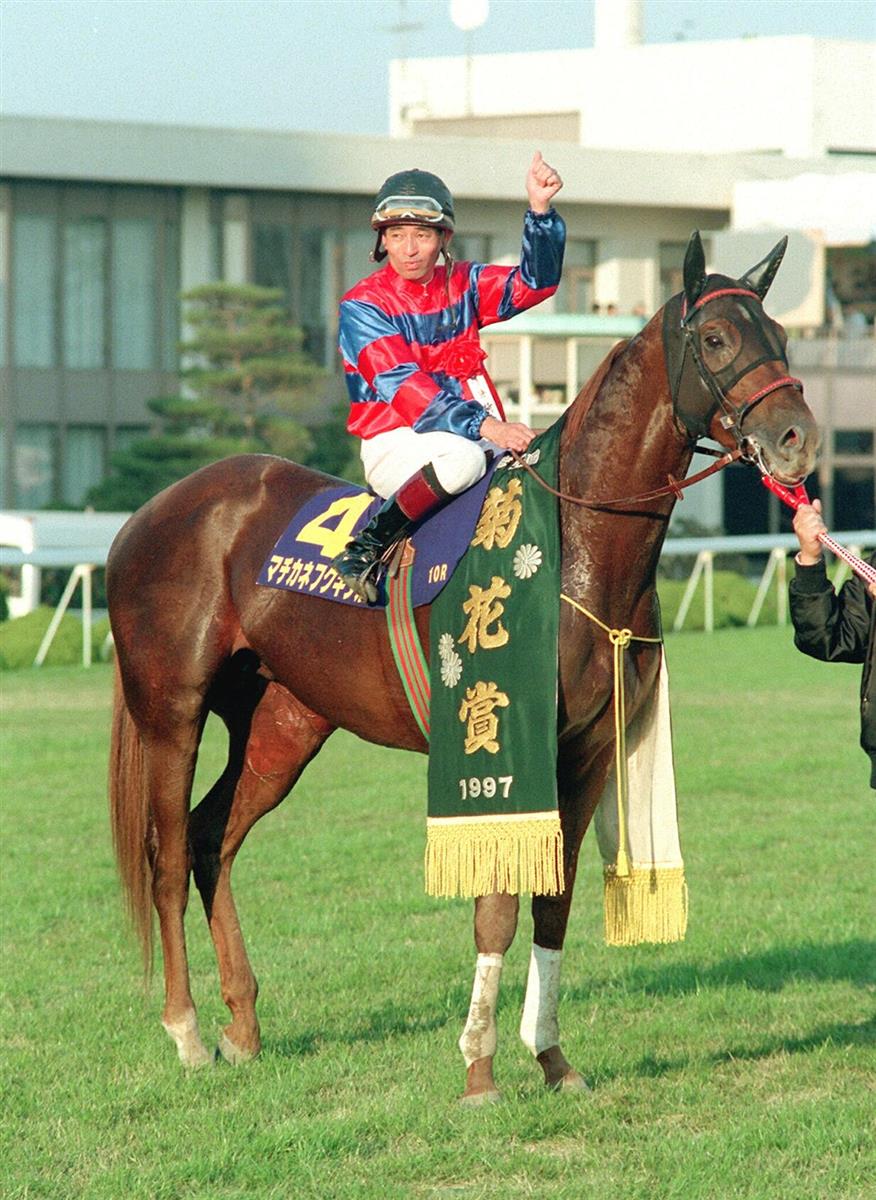 菊花賞後、次有馬行ったら勝てると思わせた菊花賞馬