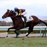 2025種牡馬リーディング 7位 リアルスティール すごくね?