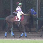 【競馬/弥生賞】コマノインパルス6着。今さらだけど「京成杯馬」ってあり得ないくらい弱いよね