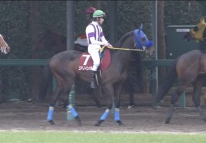 【競馬/弥生賞】コマノインパルス6着。今さらだけど「京成杯馬」ってあり得ないくらい弱いよね