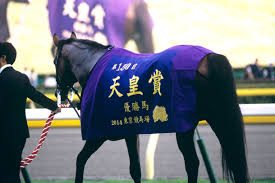 秋天で1番強かった馬って