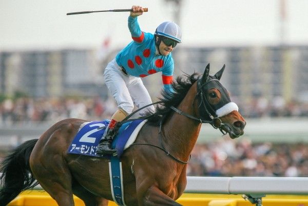 名牝とクソ種牡馬の組み合わせ