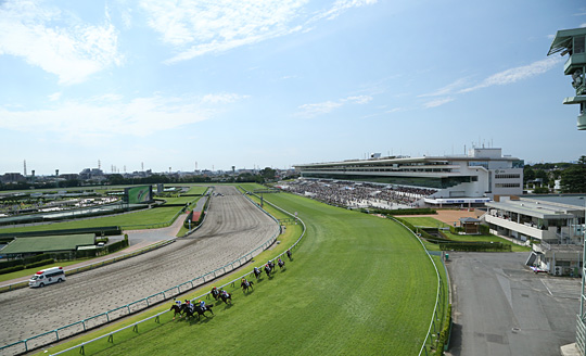 中山競馬場、ガラ悪い