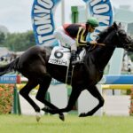 3歳ではクロワが抜けてるのはわかったが、今の古馬には通用するのか?