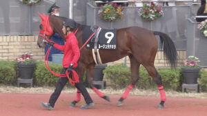 【競馬予想】第59回報知杯フィリーズレビュー(GⅡ) /2025