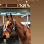 ソフトバンク柳田「オンラインカジノしたことない。でも毎週馬券は買ってます。明日も買います」
