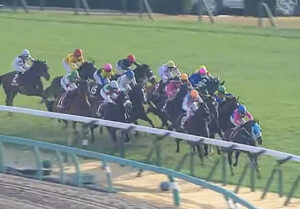 メイショウチタン(牡8歳)東京新聞杯3着→中山記念6着