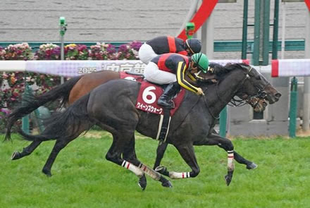 【金鯱賞】クイーンズウォークがゴール前交わしハナ差制す！重賞3勝目