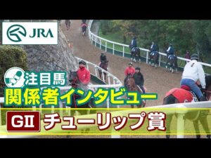 【注目馬 関係者インタビュー】2025年 チューリップ賞|JRA公式